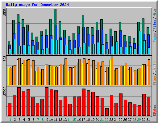 Daily usage for December 2024