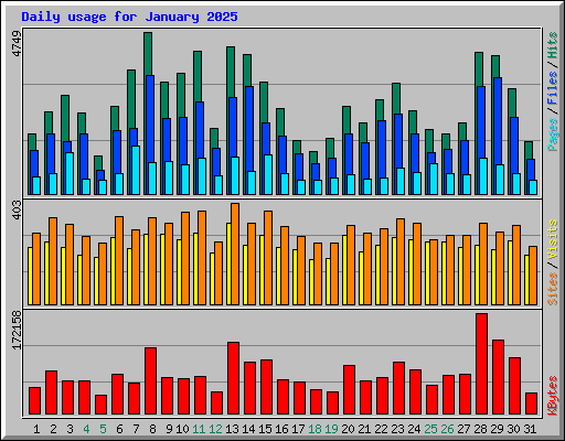 Daily usage for January 2025