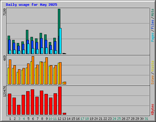 Daily usage for May 2025