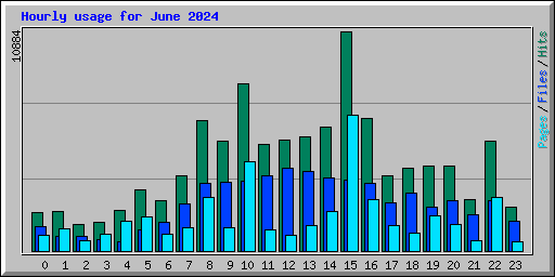 Hourly usage for June 2024