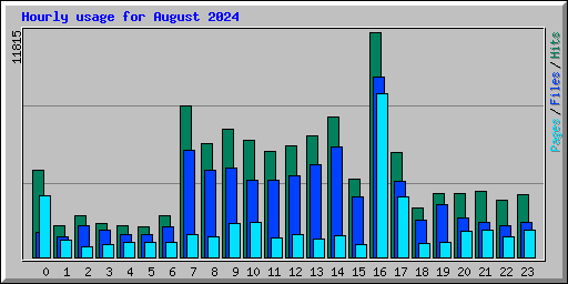 Hourly usage for August 2024