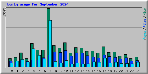 Hourly usage for September 2024