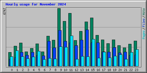 Hourly usage for November 2024