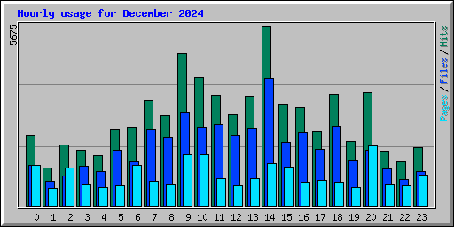 Hourly usage for December 2024