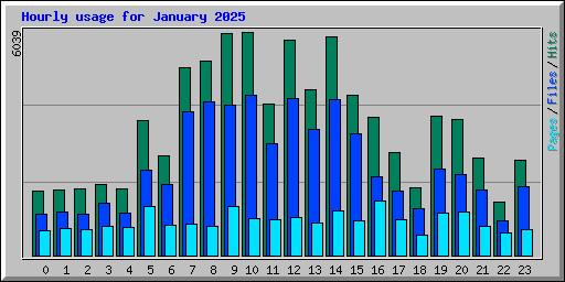 Hourly usage for January 2025