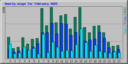 Hourly usage for February 2025